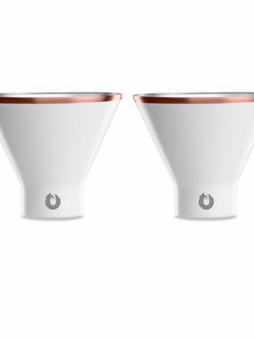 Snowfox White Copper-Rimmed Stainless Steel Tumblers - Set of 2